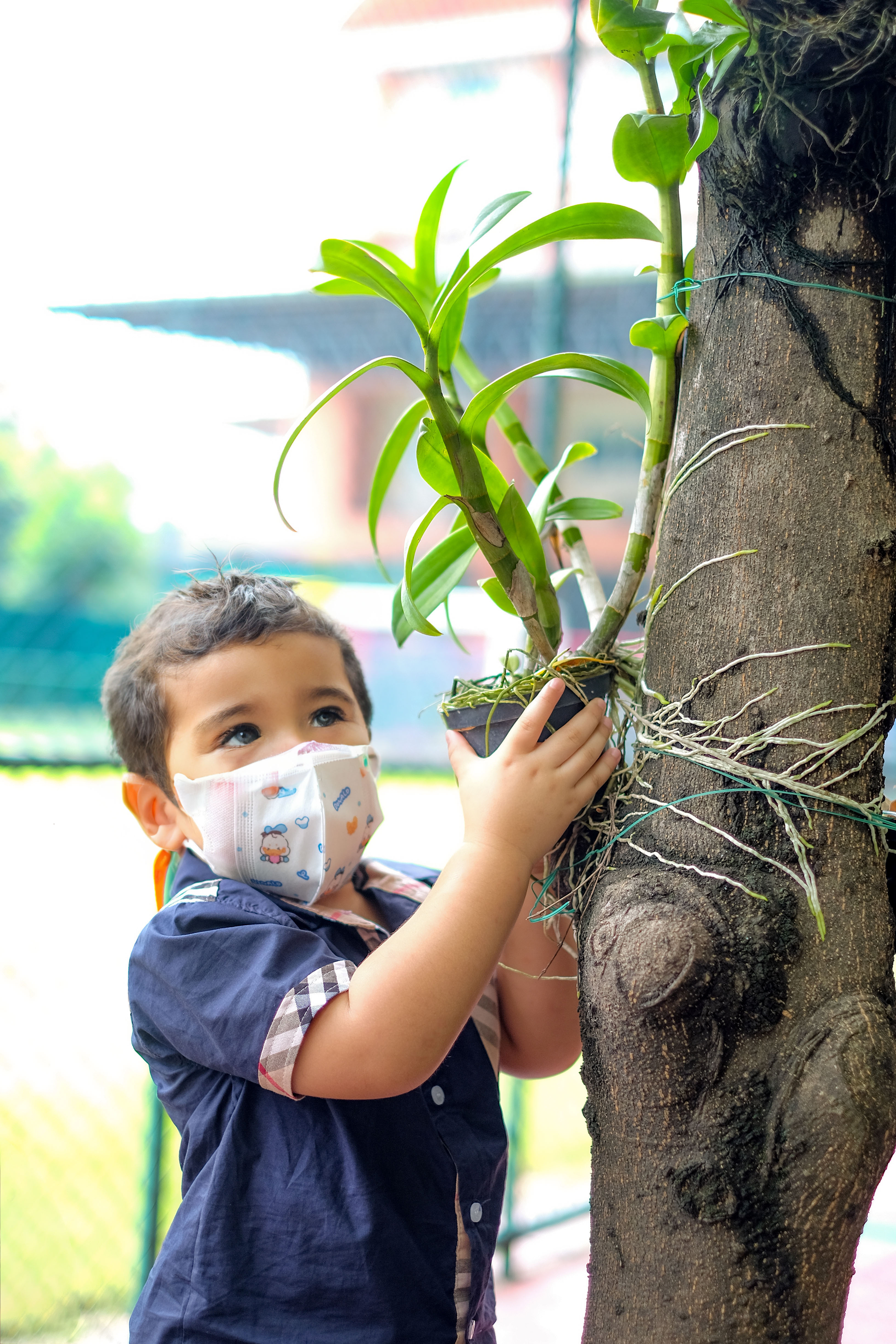 Nursery child examining a plant growing on a tree