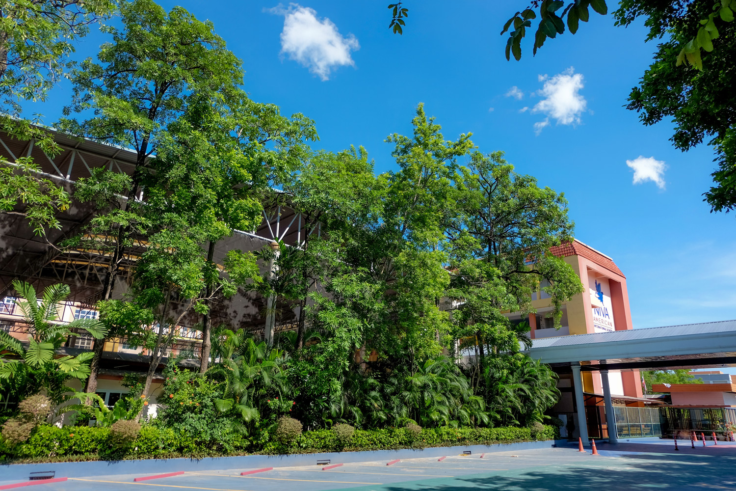 Trees and parking area beside the kindergarten building